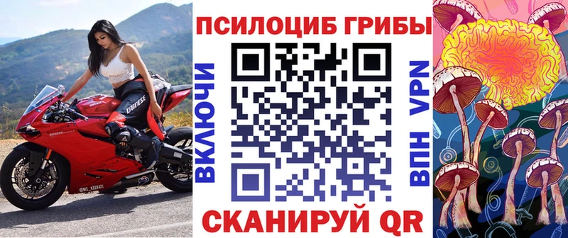 Псилоцибиновые грибы Psilocybe  Камбарка 